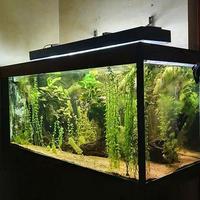 Acquario  160x60x70