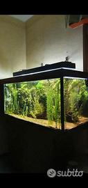 Acquario  160x60x70