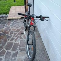 bicicletta