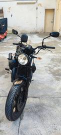 Moto Guzzi V7lll Stone 750