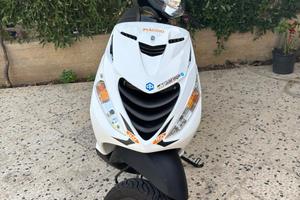 Zip sp 50