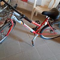 bicicletta rossa