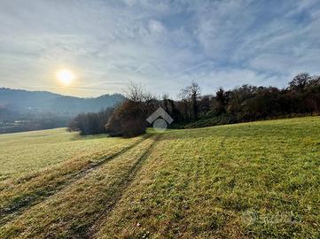 TER. AGRICOLO A ISOLA VICENTINA