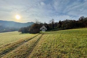 TER. AGRICOLO A ISOLA VICENTINA