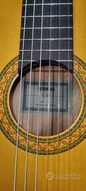 Chitarra 