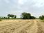 Immagine 8