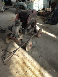 Moto pompa palmieri d'epoca