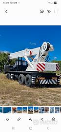autogru rigo 25 ton