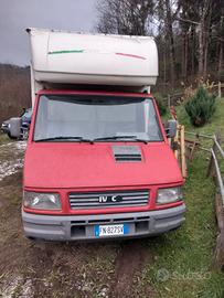 Daily trasporto cavalli 