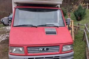 Daily trasporto cavalli 