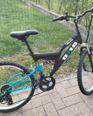Bicicletta ragazzo