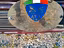 Immagine 17