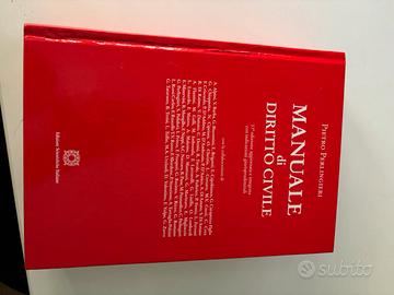 Manuale del Diritto Civile