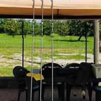 Canne da carp-fishing