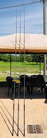 Canne da carp-fishing