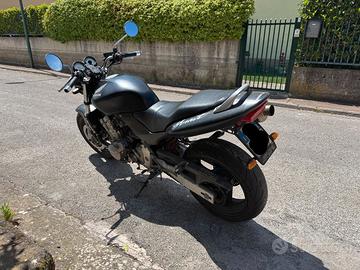 Honda Hornet 600 - 2001 - Storica Iscritta ASI