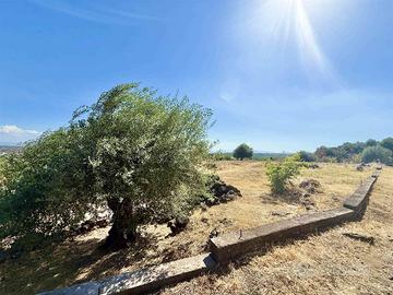 Rif.GL379| terreno agricolo belpasso