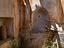 Immagine 15