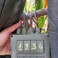 Attrezzatura caccia colombaccio