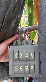 Attrezzatura caccia colombaccio