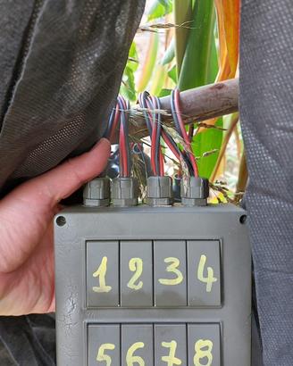 Attrezzatura caccia colombaccio