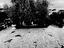 Immagine 9