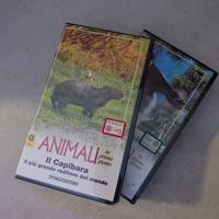 Vhs  serie DE AGOSTINI " animali in primo piano"