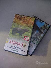 Vhs  serie DE AGOSTINI " animali in primo piano"