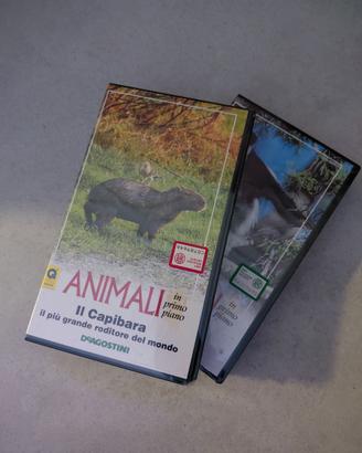 Vhs  serie DE AGOSTINI " animali in primo piano"