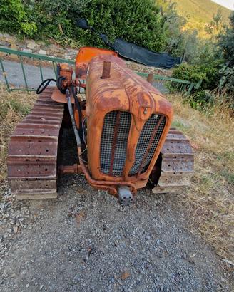 Trattore cingolato fiat 451 CM 