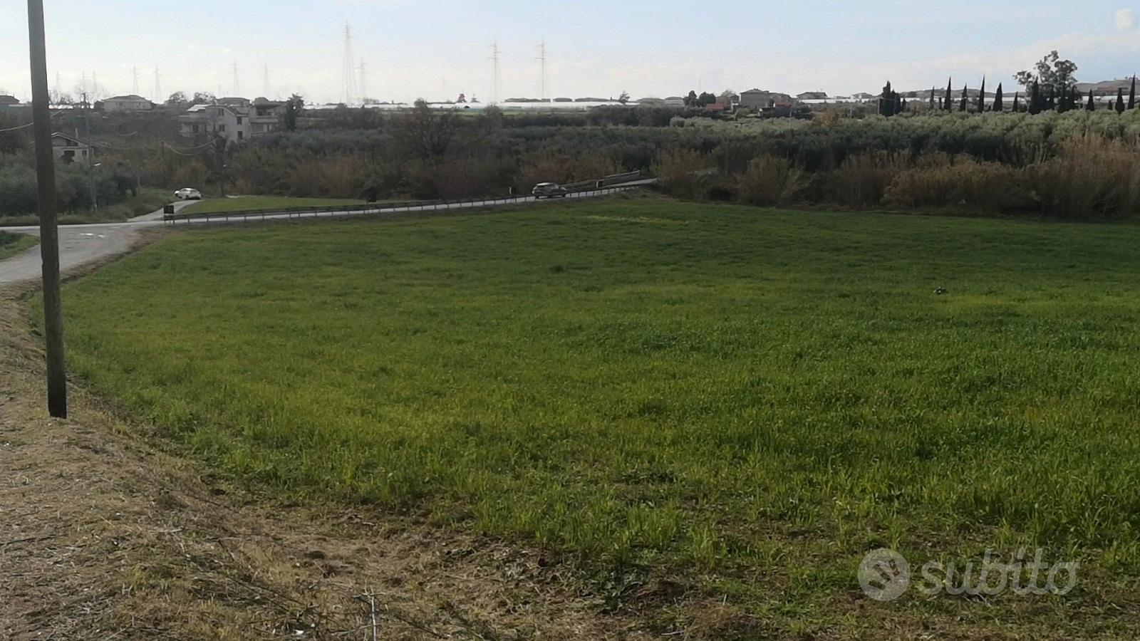 Terreno agricolo ad Olevano sul Tusciano - Vista 3