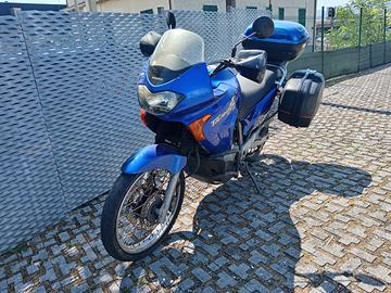 Honda Transalp 650 (2002) – Un mulo affida