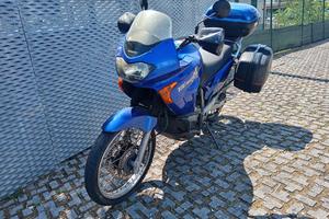 Honda Transalp 650 (2002) – Un mulo affida