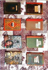 Primi 8 libri della saga di Ulysses Moore