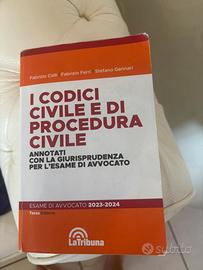 Codice civile e procedura con giurisprudenza