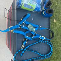 Accessori equitazione ( Pro tech e Umbria )