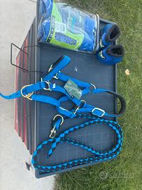 Accessori equitazione ( Pro tech e Umbria )