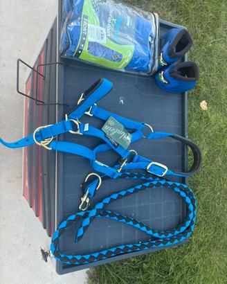 Accessori equitazione ( Pro tech e Umbria )