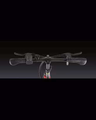 Bici elettrica