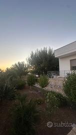 Villa torre lapillo