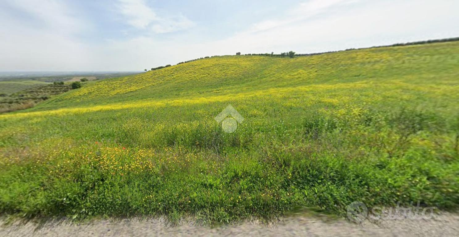 TER. AGRICOLO A TERRANOVA DA SIBARI - Vista 3