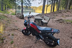 Benelli Leoncino 250