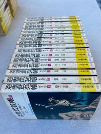 Manga Il diario delle arti marziali dei Ninja