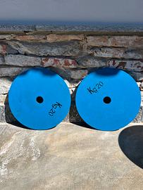 Dischi palestra 50 mm in ferro verniciato