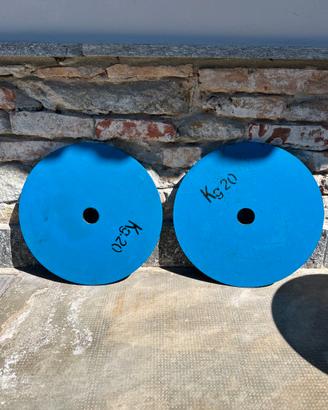 Dischi palestra 50 mm in ferro verniciato