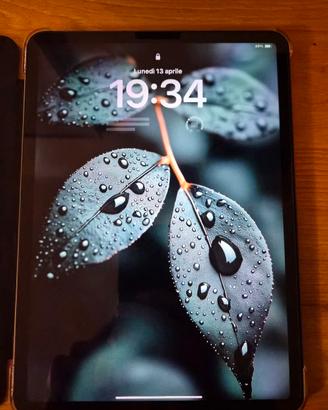 Apple iPad Pro 11" (M1) - WIFI+CELL 256GB 