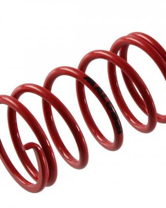 Molla contrasto variatore Ciao Malossi 296955RO 29