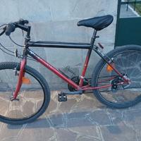 Bici uomo ragazzo