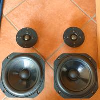 Altoparlanti per Chario (leggere bene)