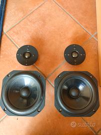 Altoparlanti per Chario (leggere bene)